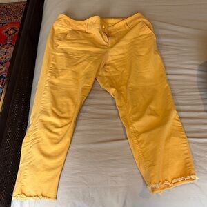 LOFT Mustard Yellow Pants